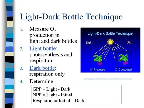 dark and light bottle test|light and dark bottle.